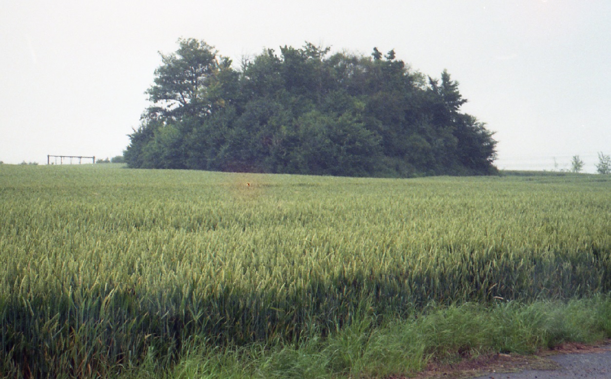 Tumulus de Noville