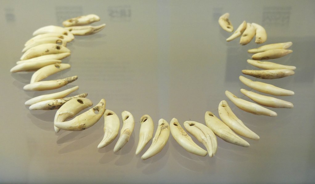 Neolithic necklace, dated 2000-1600 BC, found in the Cave of Han-sur-Lesse.