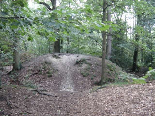 Heksenberg Meeuwen