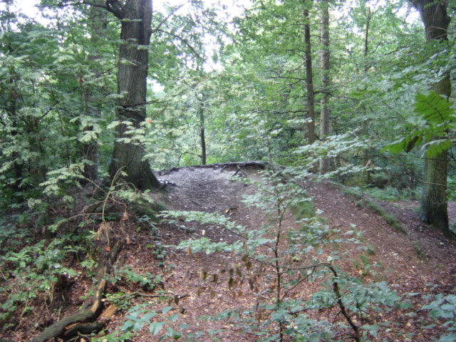 Heksenberg Meeuwen