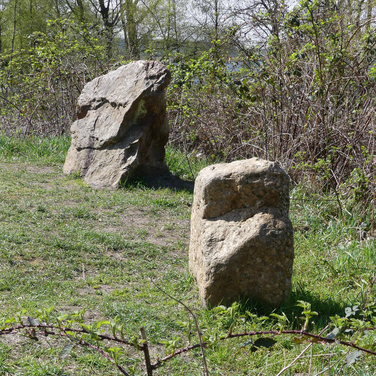 Stenencirkel op de Maat