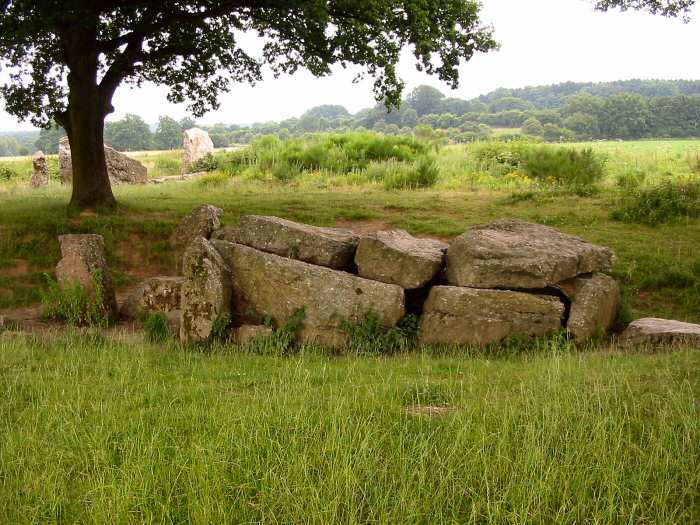 This dolmen is close to a couple of menhirs, which can be seen in the background.