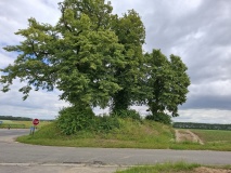 Tumulus aux Six Frères