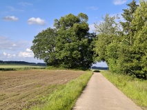Tumulus de Ramelot