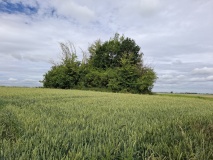 Tumulus de Vaux