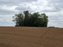 Tumulus d'Aineffe