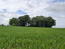Tumulus de Saives