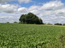 Tumulus de Noville