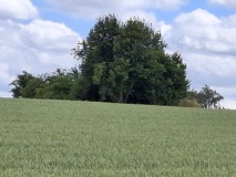 Tumulus de Hodeige