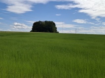 Othée Tumulus