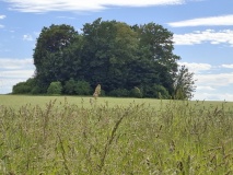 Othée Tumulus