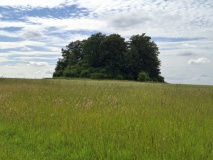Othée Tumulus