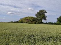 Herstappe Tumulus