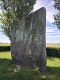 Brunehaut