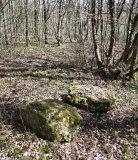 Bois du Vesin Menhir