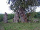 Oppagne Menhir - PID:101468