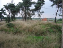 Grafheuvels Kolis - PID:23943