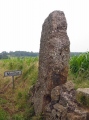 Menhir Danthine submitted by madcat