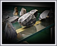 Musée communal de Nivelles