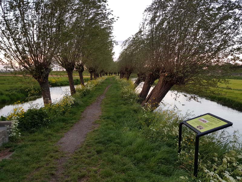 Vindplaats Trijntje