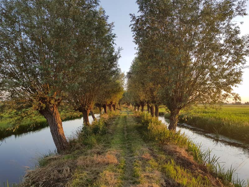 Vindplaats Trijntje