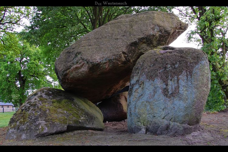 Click for the gallery page to add comments and vote (PID:47053) D44 Westenesch