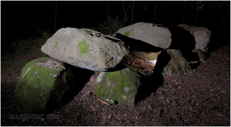 D7 Kniphorstbos