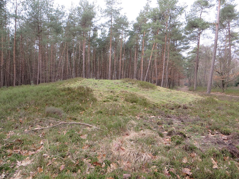 Site in Gelderland Netherlands