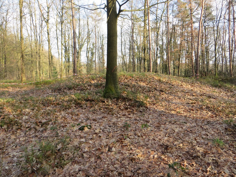 Click for the gallery page to add comments and vote (PID:178341) Grafheuvel Beekbergen (45190)