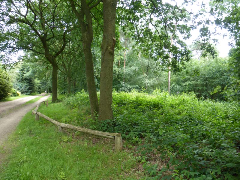 Grafheuvel Elsen (45785)