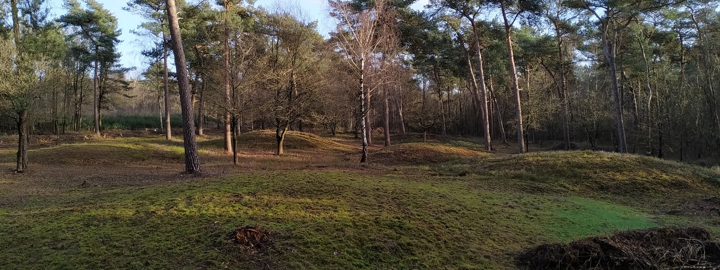 Grafheuvels op de Zuilensteinse Kop (45579)