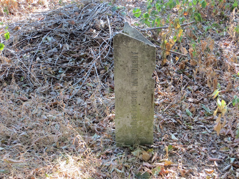 Grafheuvels Renkum (45951)