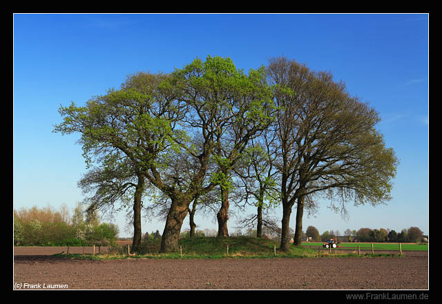 Click for the gallery page to add comments and vote (PID:40309) Borger Round Barrow