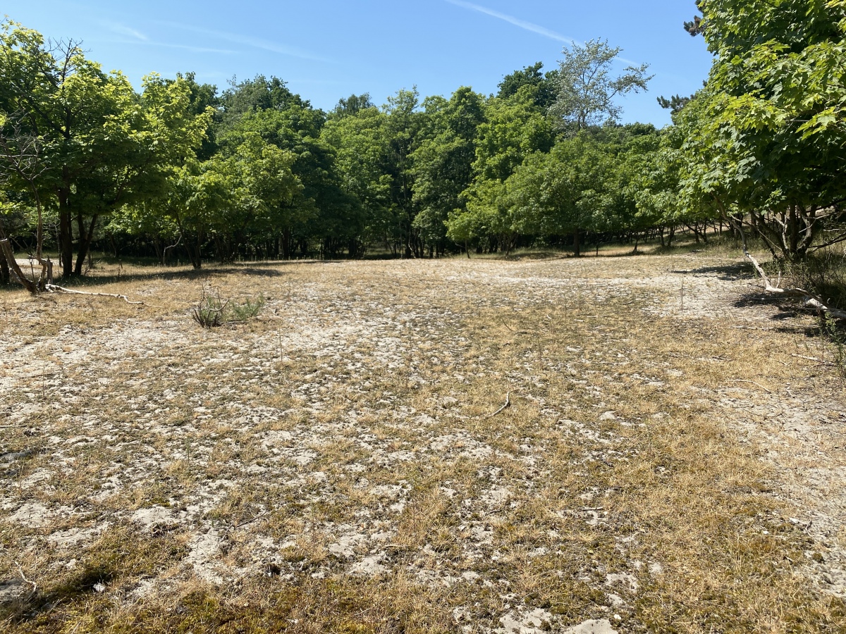 Click for full size image of Haamstede (46170) (PID:259444) Haamstede (46170)