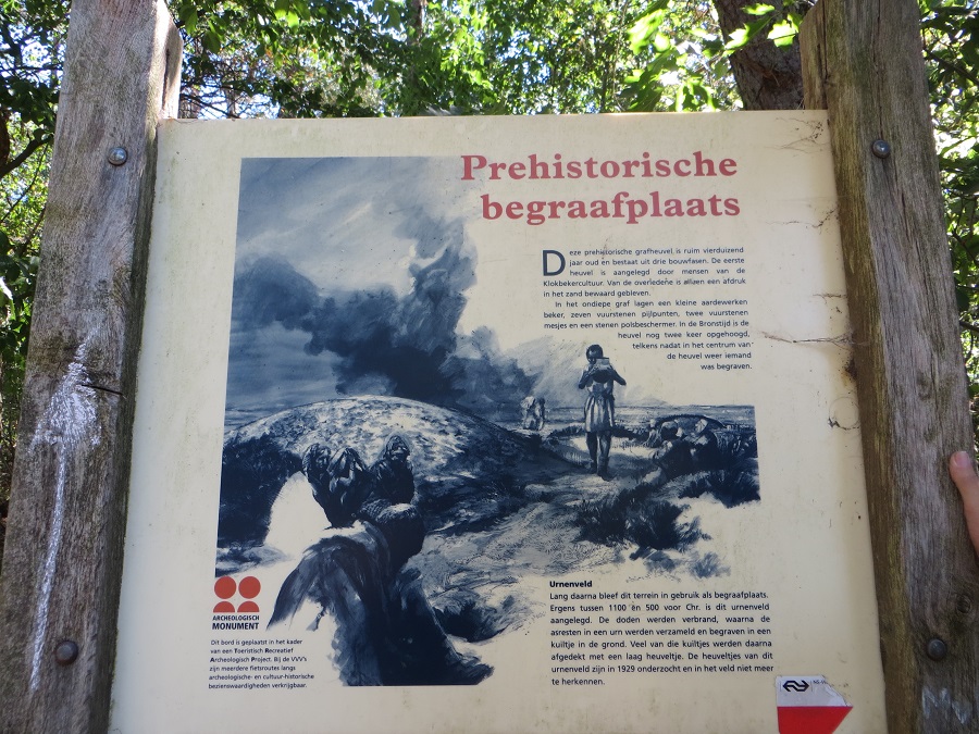 Grafheuvel en Urnenveld Bennekom (45414)