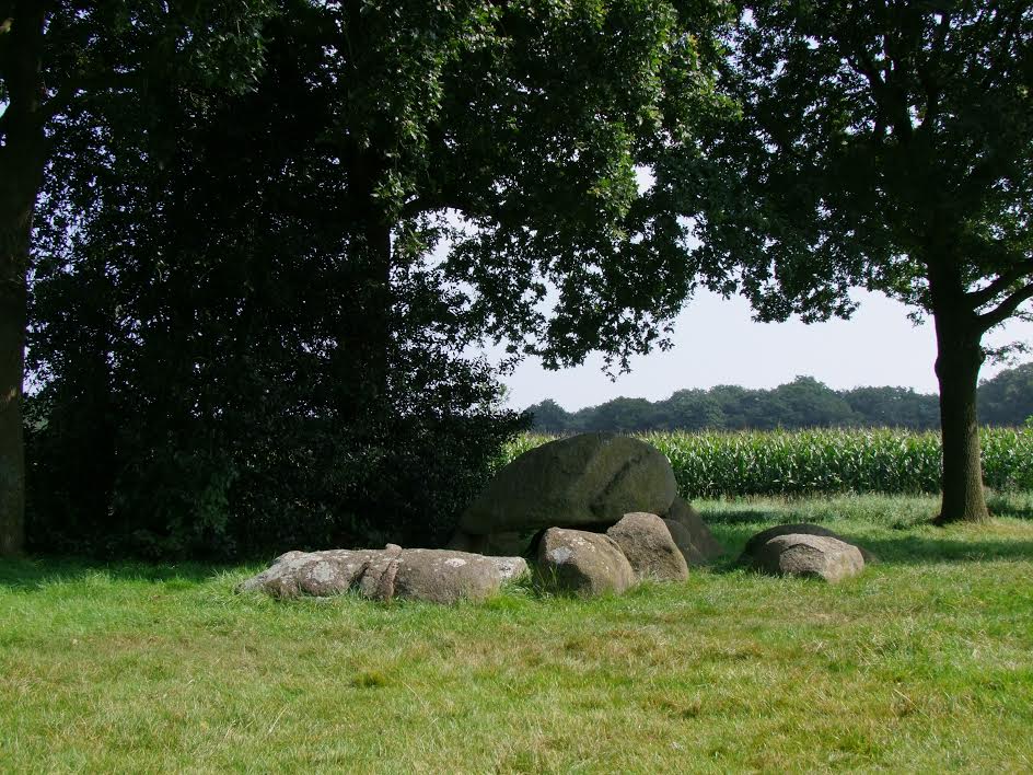 D2 Westervelde