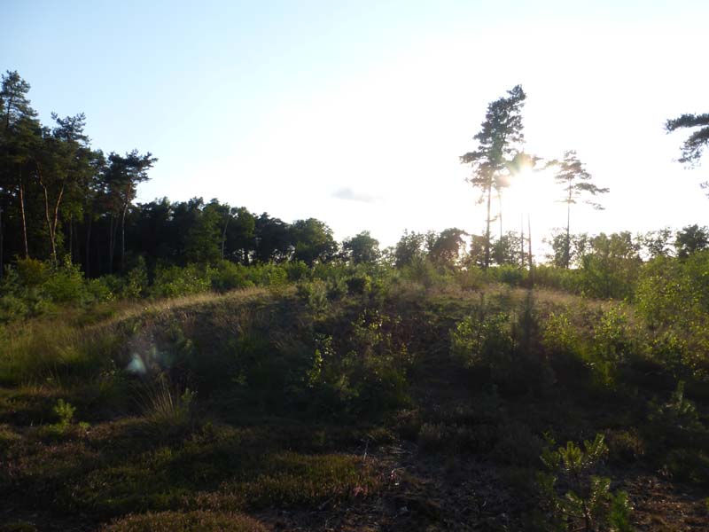 Click for the gallery page to add comments and vote (PID:169315) Grafheuvel Elsen (45791)
