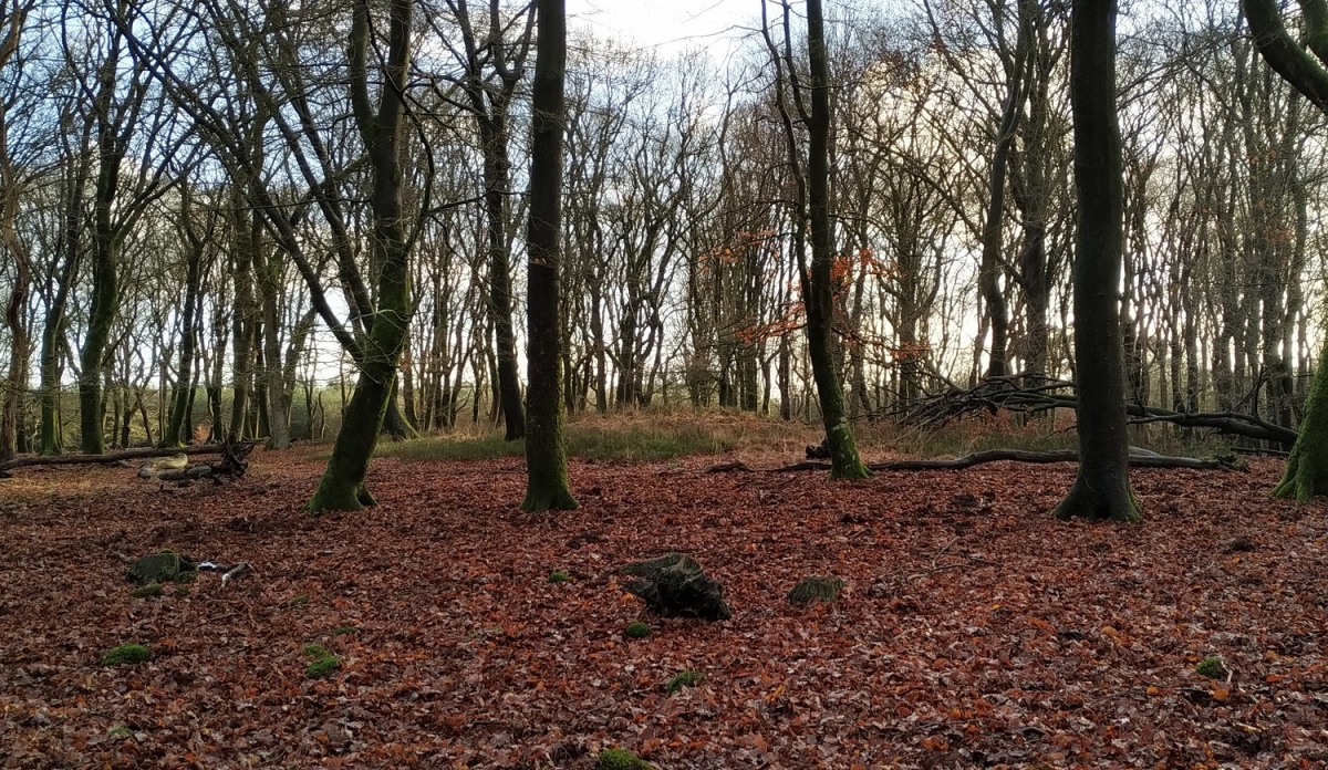 Grafheuvel Uddel (45161)