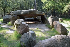 D45 Emmen