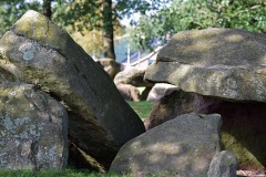 D29 Borger