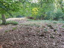 Grafheuvels Fleringen (46061)