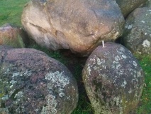 D14 Eexterhalte