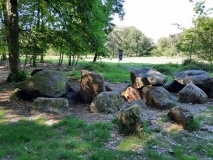 D7 Kniphorstbos