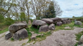 D50 Noordsleen