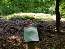 Grafheuvels Tongeren (45349)