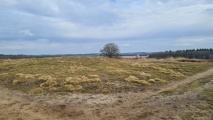 Drieberg barrows - PID:287300