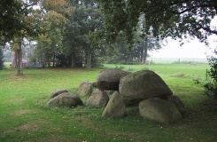 D2 Westervelde