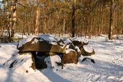 D8 Kniphorstbos