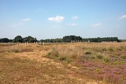 Regte Heide - PID:162710