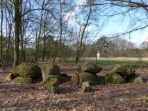 D7 Kniphorstbos